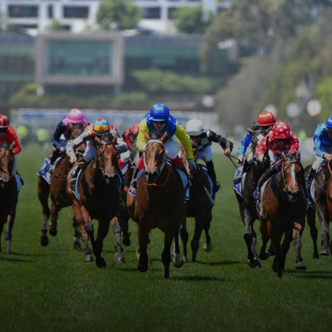 Horse Racing Events and Tour Packages